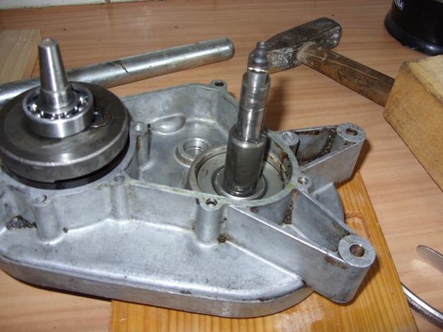 SDC11294.JPG