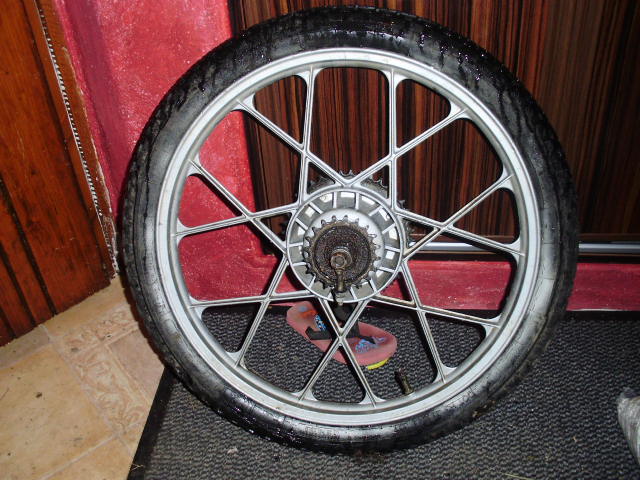 PB020803.JPG