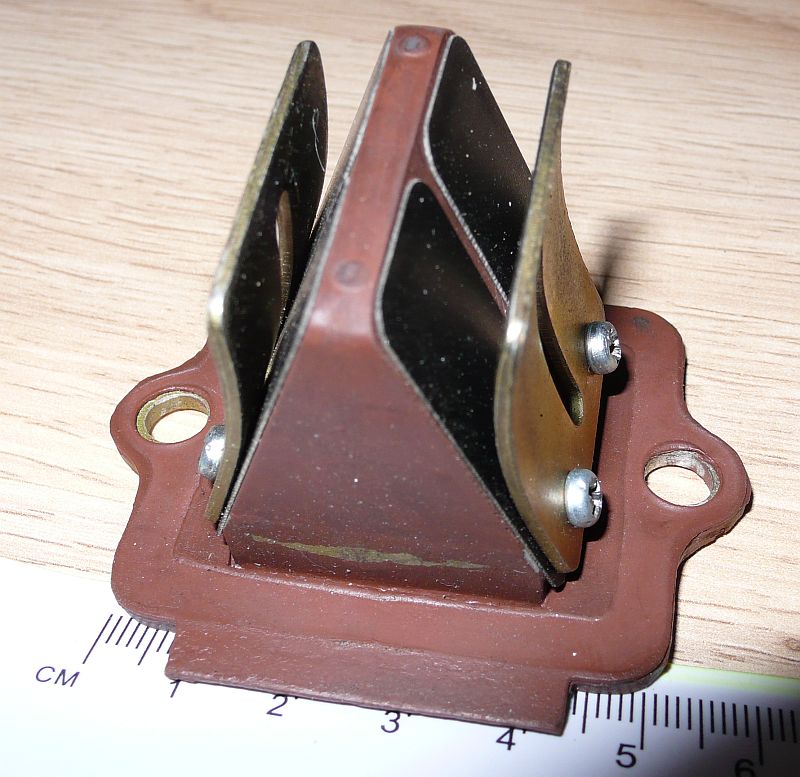 P1080683x.jpg