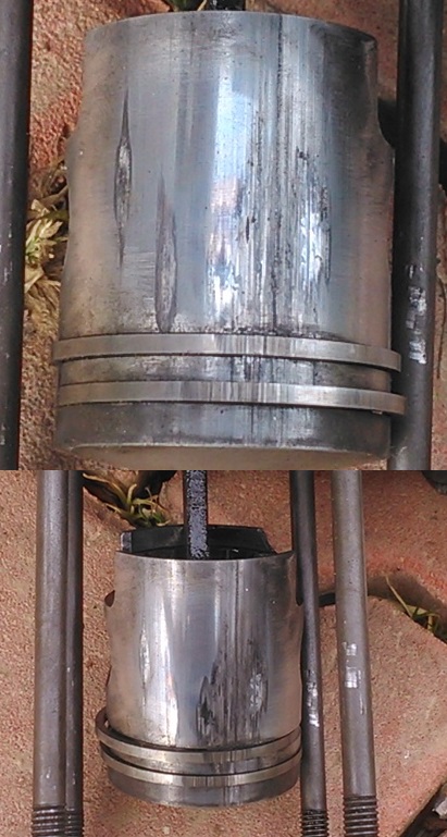 DSC_0081h-vert.jpg