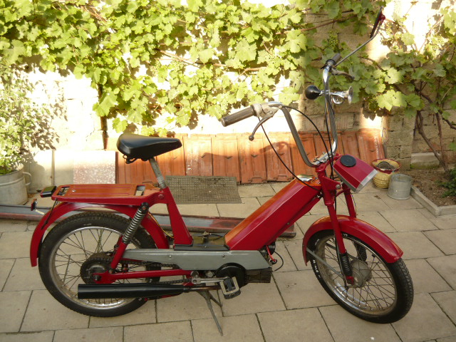 P1000742.JPG